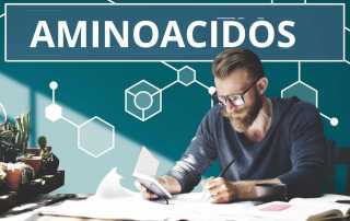 Los Aminoácidos esenciales tienen que ser consumidos todos los días